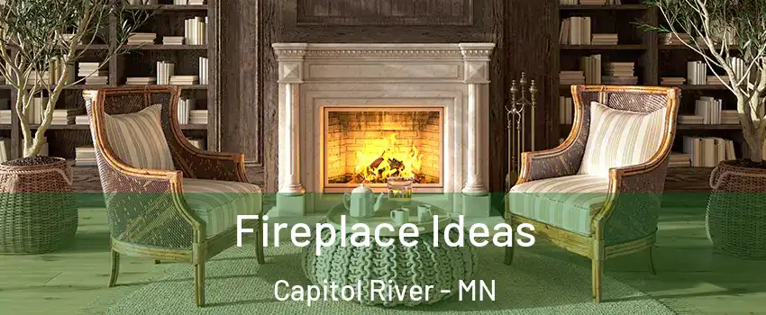Fireplace Ideas Capitol River - MN
