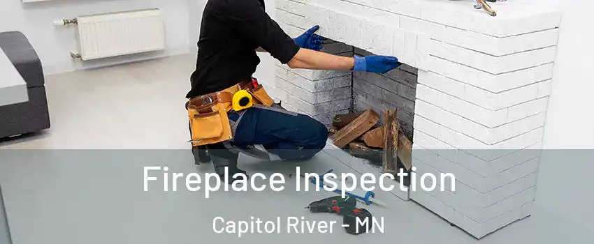 Fireplace Inspection Capitol River - MN