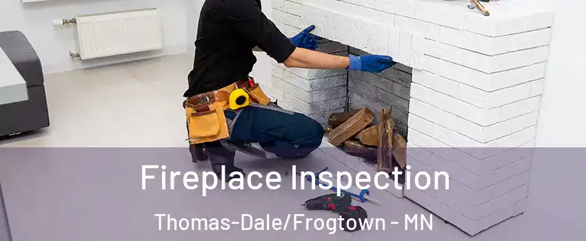 Fireplace Inspection Thomas-Dale/Frogtown - MN