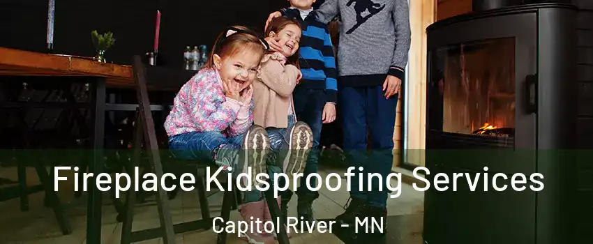 Fireplace Kidsproofing Services Capitol River - MN