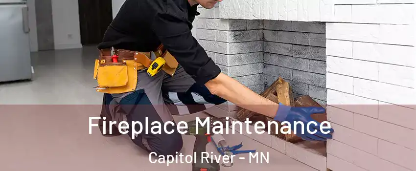 Fireplace Maintenance Capitol River - MN