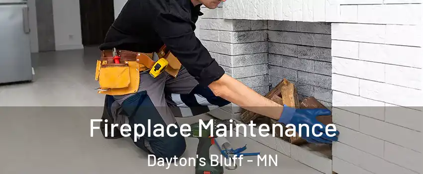 Fireplace Maintenance Dayton's Bluff - MN