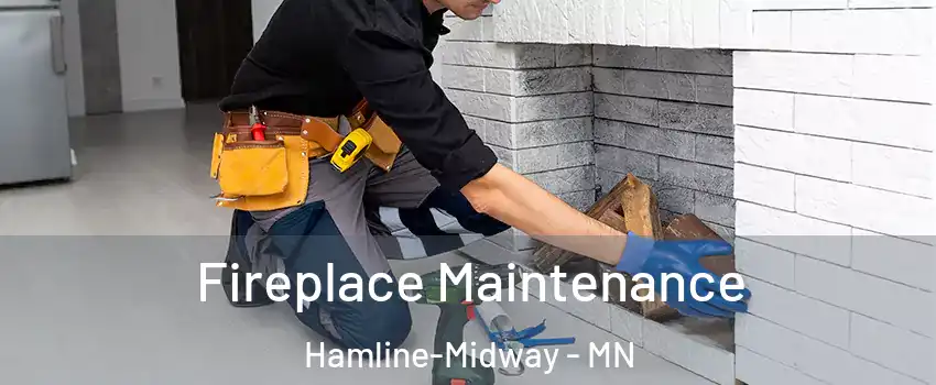 Fireplace Maintenance Hamline-Midway - MN