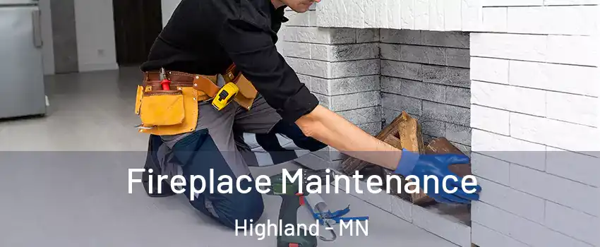 Fireplace Maintenance Highland - MN