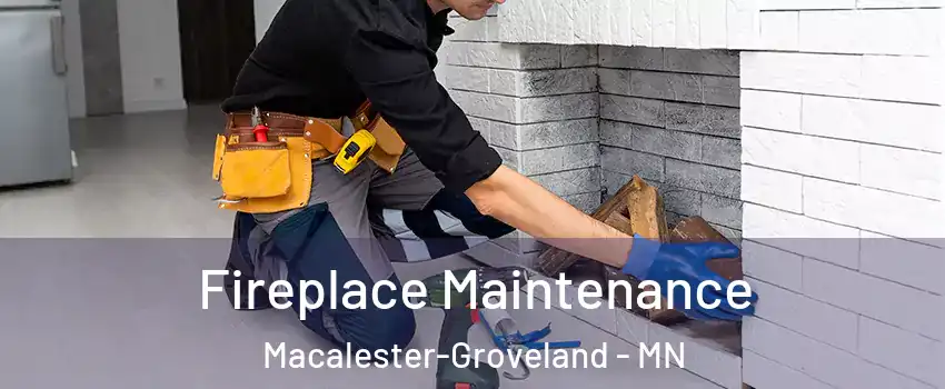 Fireplace Maintenance Macalester-Groveland - MN