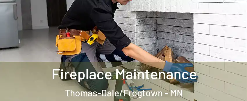 Fireplace Maintenance Thomas-Dale/Frogtown - MN