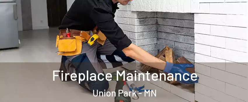 Fireplace Maintenance Union Park - MN