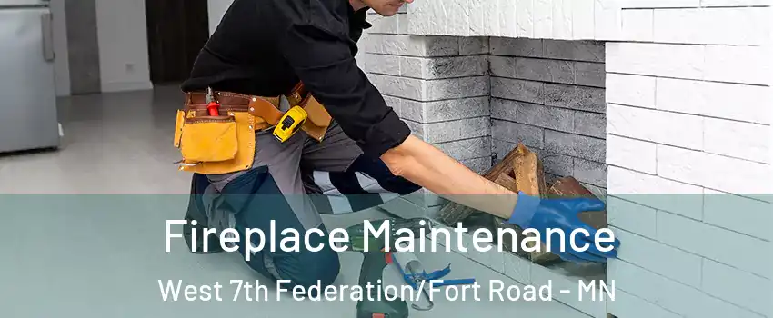 Fireplace Maintenance West 7th Federation/Fort Road - MN