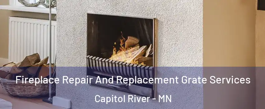 Fireplace Repair And Replacement Grate Services Capitol River - MN