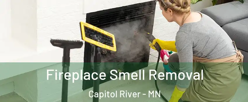 Fireplace Smell Removal Capitol River - MN