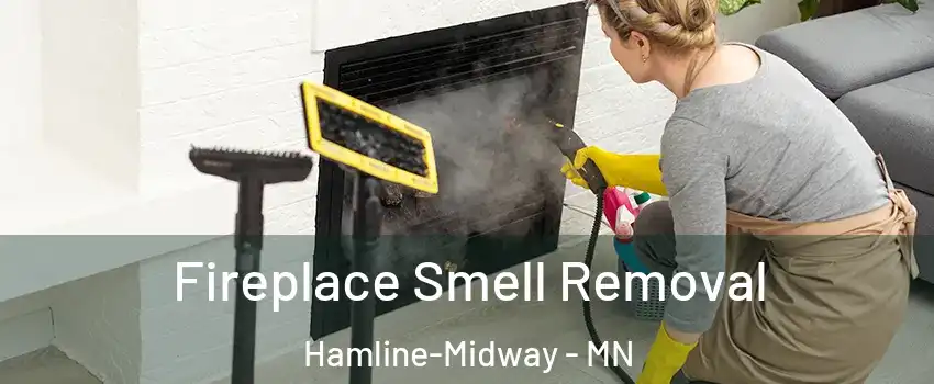 Fireplace Smell Removal Hamline-Midway - MN