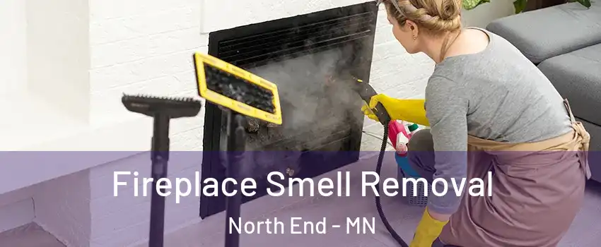 Fireplace Smell Removal North End - MN