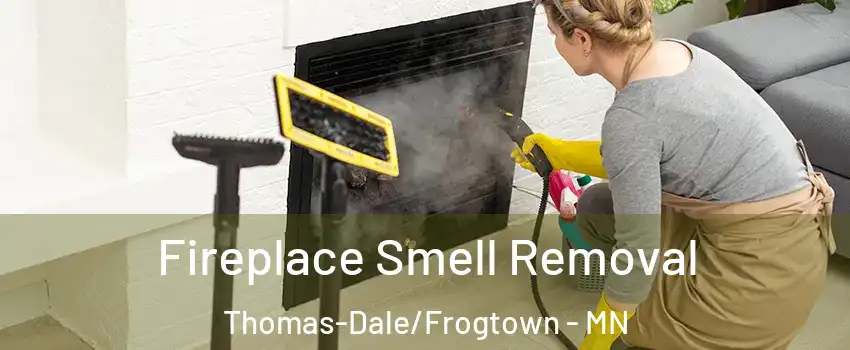 Fireplace Smell Removal Thomas-Dale/Frogtown - MN