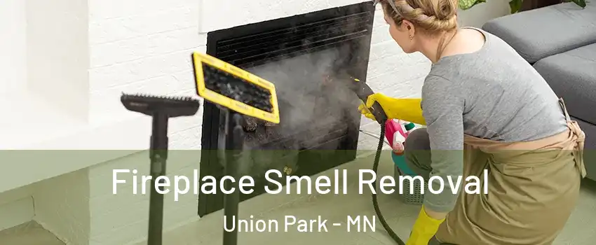 Fireplace Smell Removal Union Park - MN