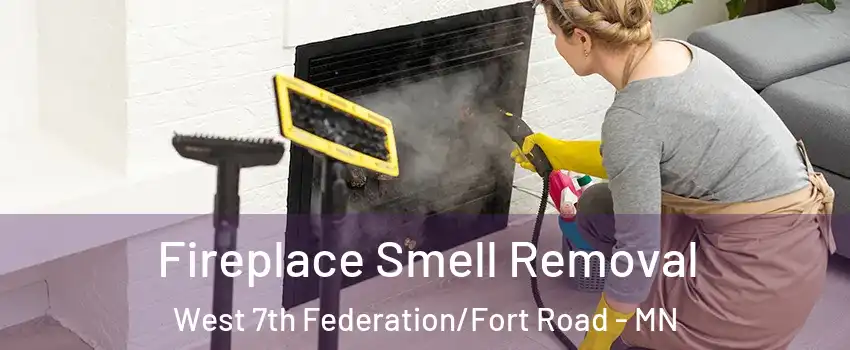 Fireplace Smell Removal West 7th Federation/Fort Road - MN