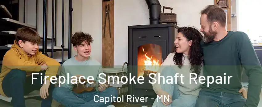 Fireplace Smoke Shaft Repair Capitol River - MN
