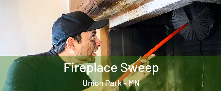 Fireplace Sweep Union Park - MN