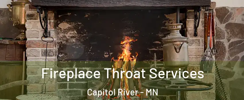 Fireplace Throat Services Capitol River - MN