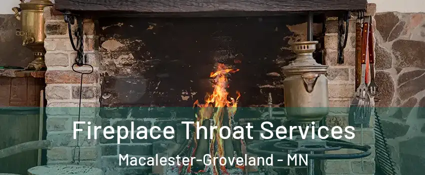 Fireplace Throat Services Macalester-Groveland - MN
