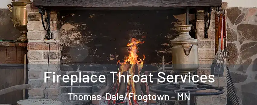 Fireplace Throat Services Thomas-Dale/Frogtown - MN