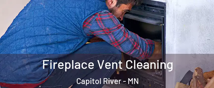 Fireplace Vent Cleaning Capitol River - MN