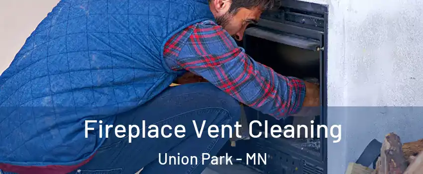 Fireplace Vent Cleaning Union Park - MN