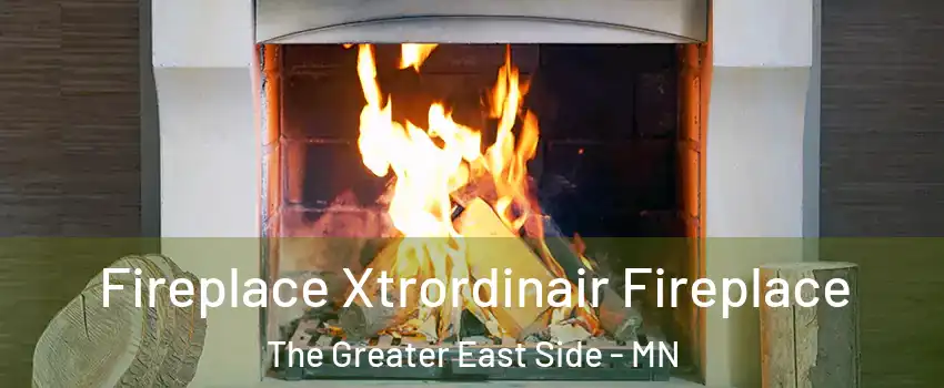Fireplace Xtrordinair Fireplace The Greater East Side - MN