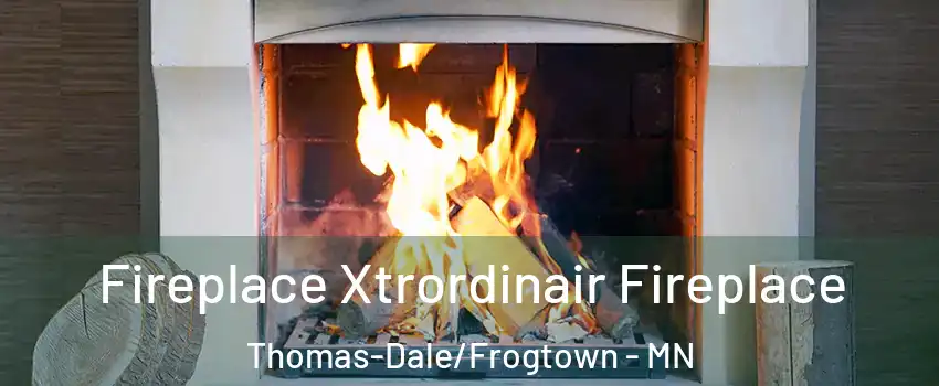 Fireplace Xtrordinair Fireplace Thomas-Dale/Frogtown - MN