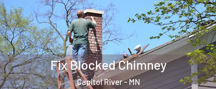 Fix Blocked Chimney Capitol River - MN