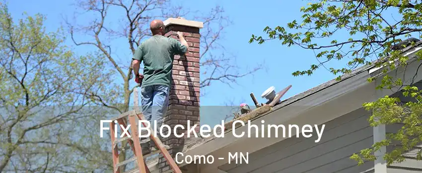 Fix Blocked Chimney Como - MN