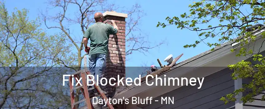 Fix Blocked Chimney Dayton's Bluff - MN