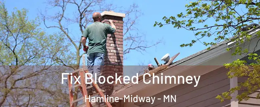 Fix Blocked Chimney Hamline-Midway - MN