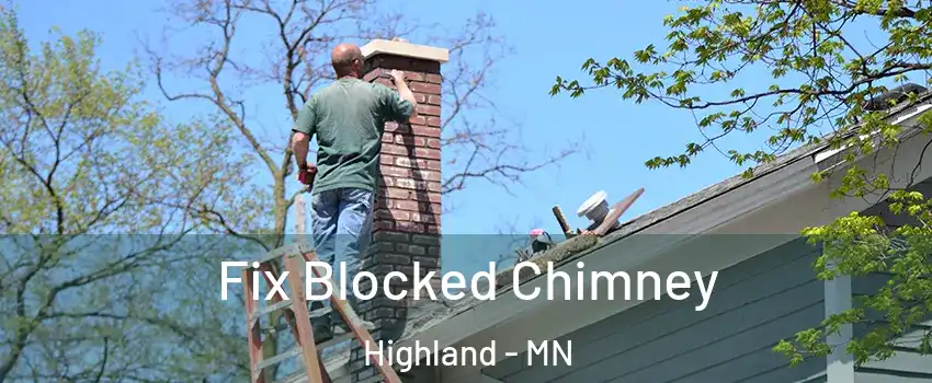 Fix Blocked Chimney Highland - MN