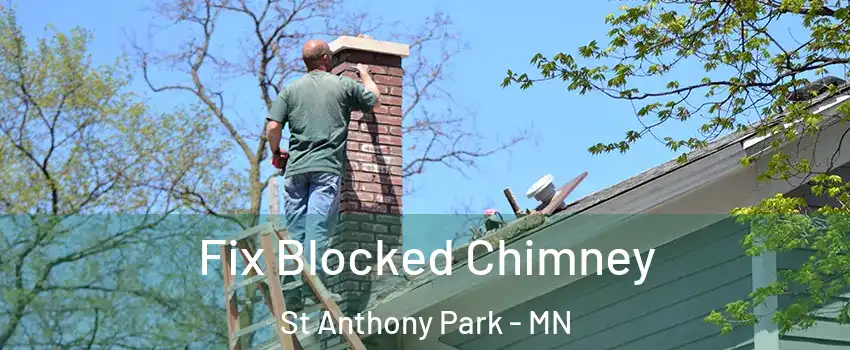 Fix Blocked Chimney St Anthony Park - MN