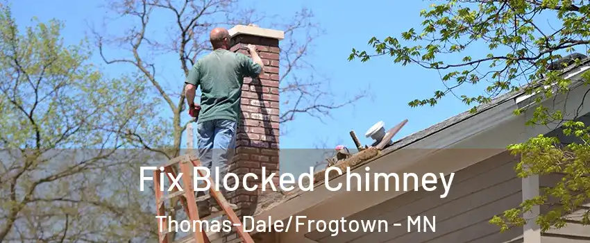 Fix Blocked Chimney Thomas-Dale/Frogtown - MN