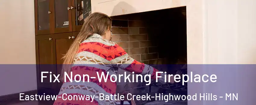 Fix Non-Working Fireplace Eastview-Conway-Battle Creek-Highwood Hills - MN
