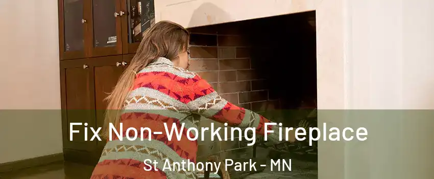 Fix Non-Working Fireplace St Anthony Park - MN
