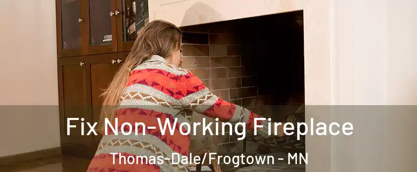 Fix Non-Working Fireplace Thomas-Dale/Frogtown - MN