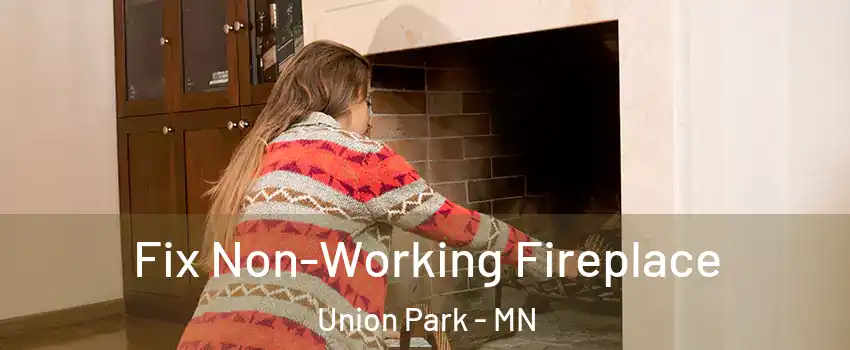 Fix Non-Working Fireplace Union Park - MN