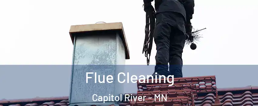 Flue Cleaning Capitol River - MN