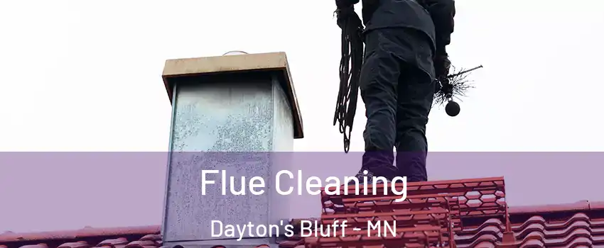 Flue Cleaning Dayton's Bluff - MN