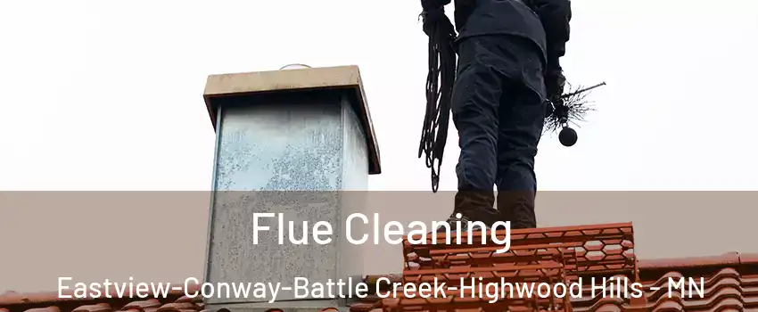 Flue Cleaning Eastview-Conway-Battle Creek-Highwood Hills - MN