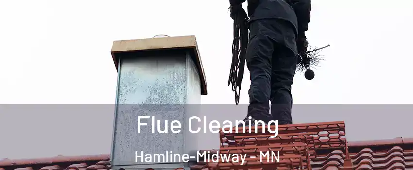 Flue Cleaning Hamline-Midway - MN