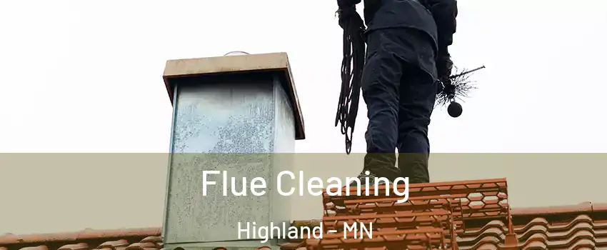 Flue Cleaning Highland - MN