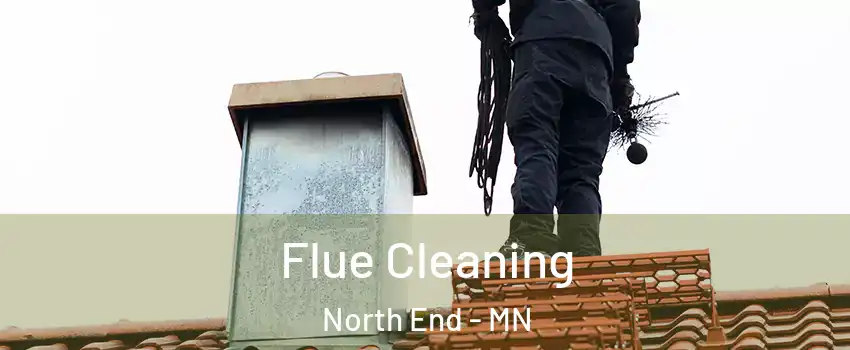 Flue Cleaning North End - MN