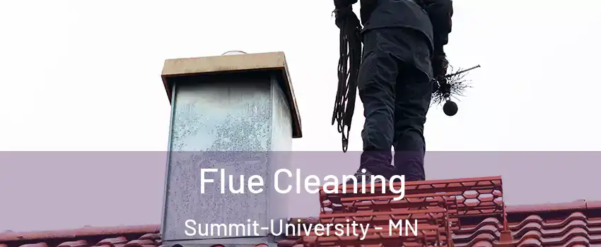Flue Cleaning Summit-University - MN