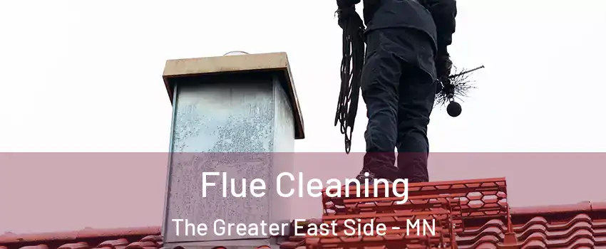 Flue Cleaning The Greater East Side - MN