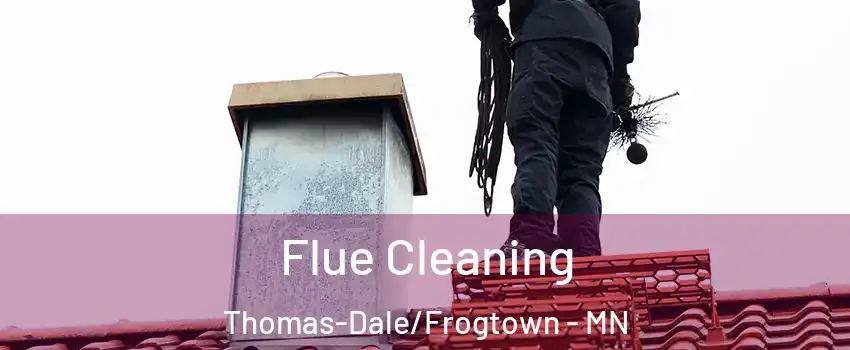Flue Cleaning Thomas-Dale/Frogtown - MN