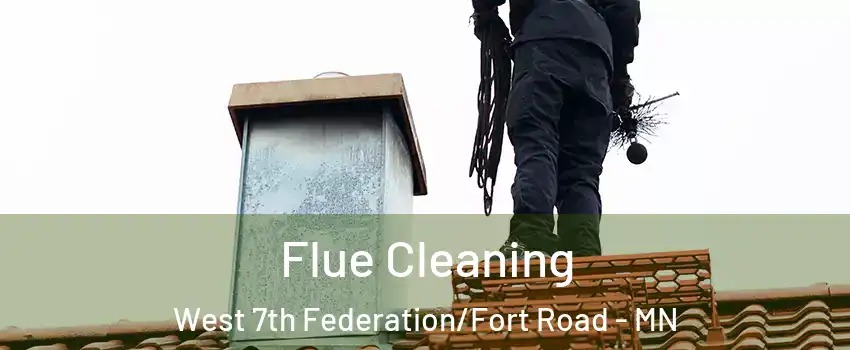 Flue Cleaning West 7th Federation/Fort Road - MN