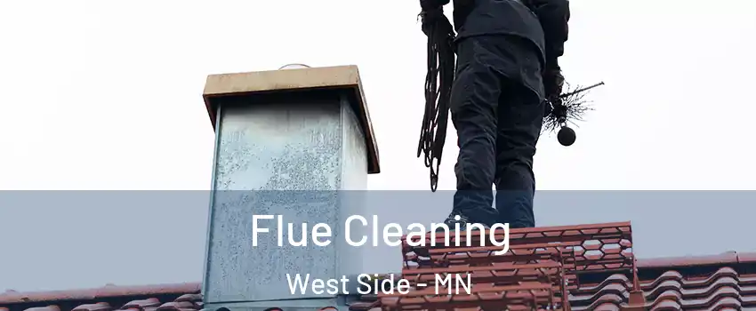 Flue Cleaning West Side - MN